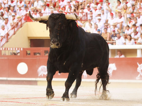 Bayonne corrida des fêtes 2023