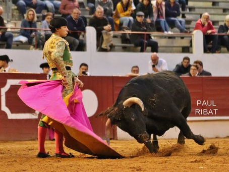 Novillada Saint-Sever 11 novembre 2018