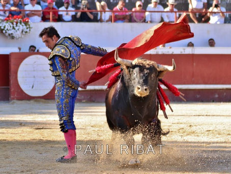 Corrida Mimizan 18 août 2018