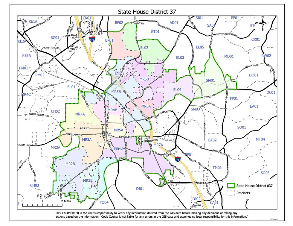 State House District 37.jpg