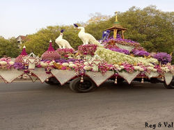 Festival des fleurs 2020