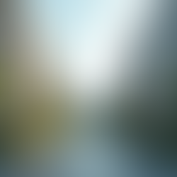 วิธีเลือกอสังหาริมทรัพย์ที่เหมาะสมสำหรับคุณ