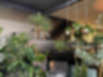 Creative Outdoor Pots Melbourne.jpg