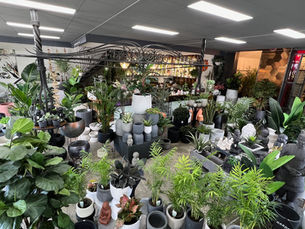 Designer Pots & Planters | Melbourne