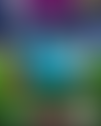 The Eid Show Broadmeadows 2024