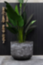 Lightweight Pots Melbourne | Creative Outdoor Pots