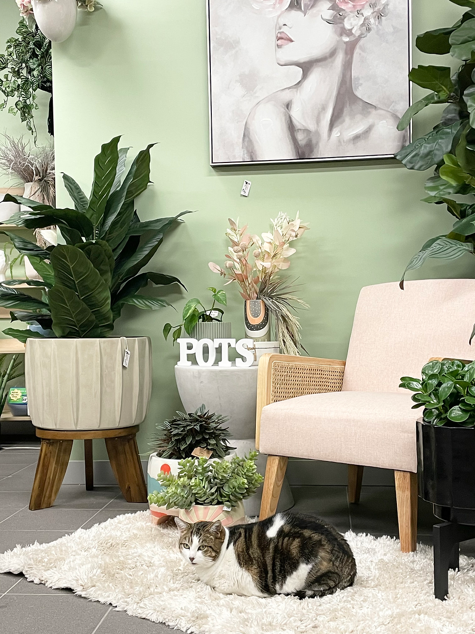 Modern Outdoor & Indoor Pots| Creative Outdoor Pots