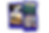 Leons Full Assets (32).png