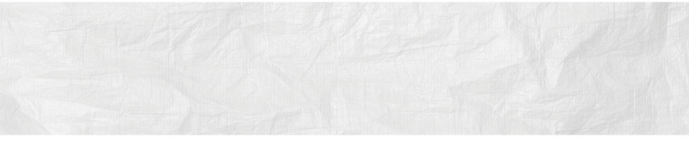 Triple E Post Website Graphics (10).png