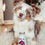 Miniature : Smoothie spécial chien sensible