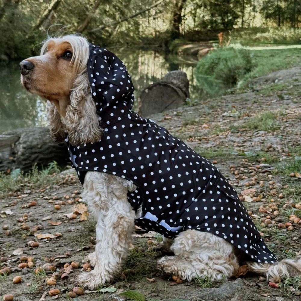 Imperméable pour chien - CocoPup