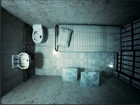 Prisons, the New Mental Institutions