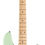 Thumbnail: Fender Squier Affinity Precision Bass PJ Bundle with Gig Bag, Tuner, Strap, and