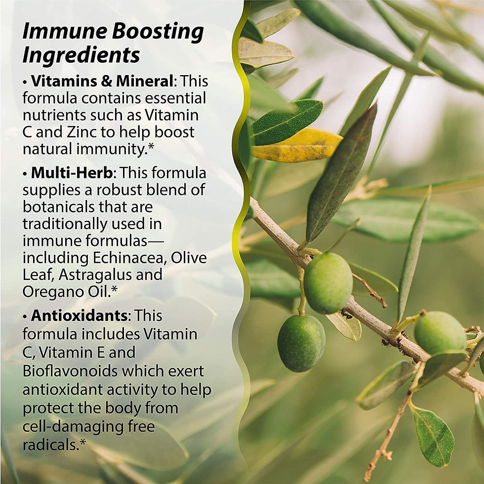 Thumbnail: Irwin Naturals Immuno-Shield All Season Wellness for Body's Natural Defense Sys