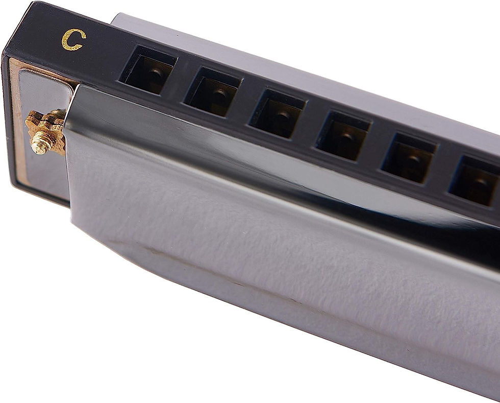 Thumbnail: Harmonica 10 Holes 20 Tunes Mouth Organ Blues Deluxe Harmonica, Key of C for Be