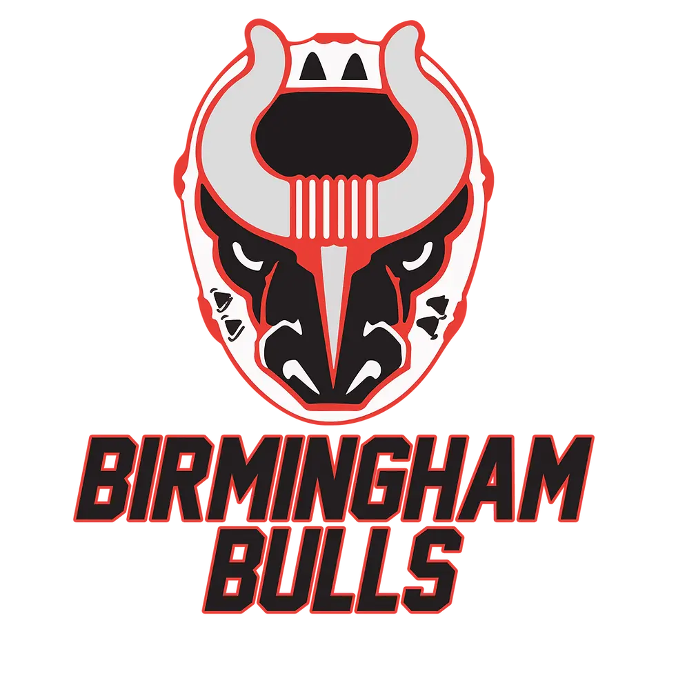 Scout night with the Birmingham Bulls!