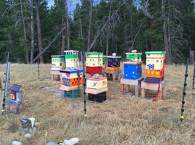 colourful hives