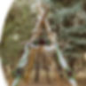 Picture1.jpg