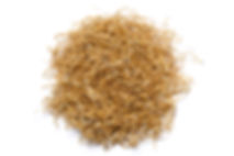 AdobeStock_250067765.jpeg