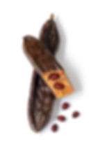AdobeStock_165768749.jpeg