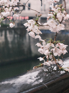 Coloured stone engagement ring gemstones including Morganite, Pink Sapphire, Malaya Garnet, Tourmaline and Teal Sapphire in a spring-inspired palette Singapore