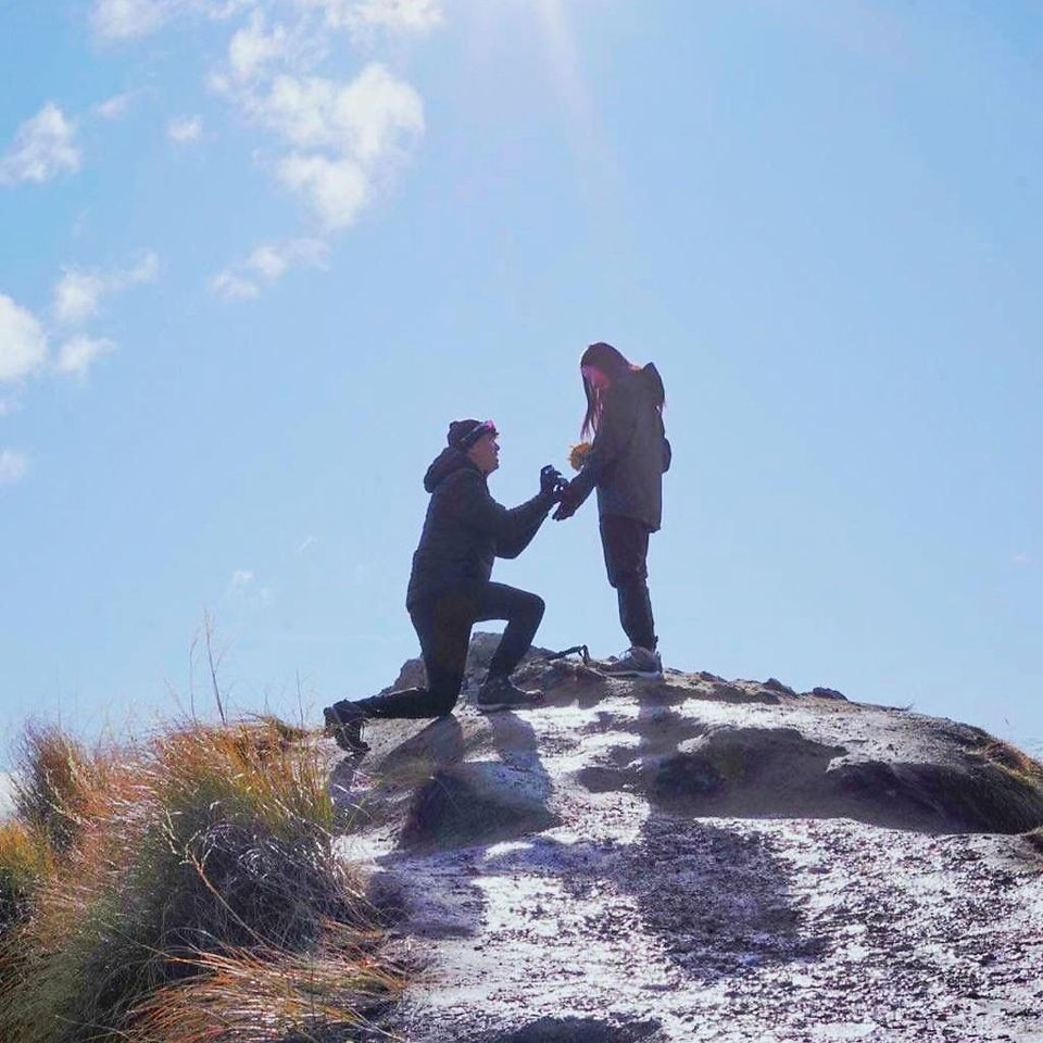 Proposal