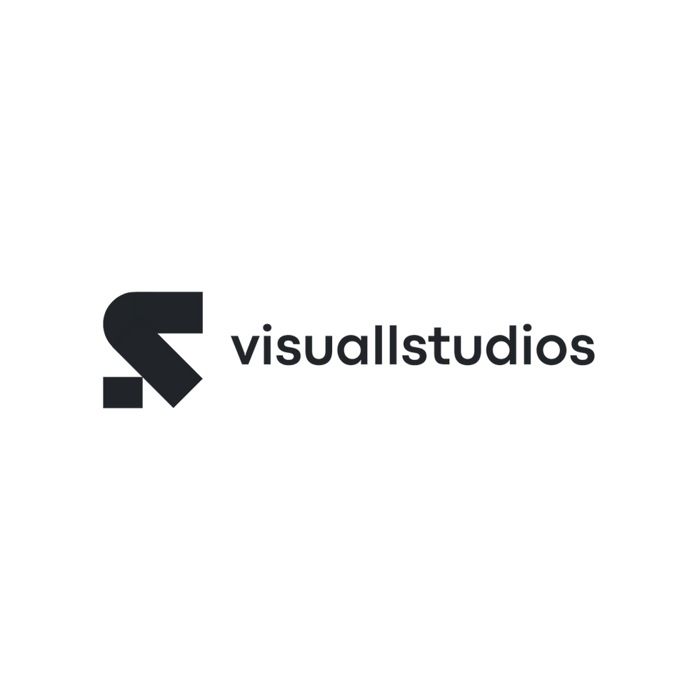 Visu logo.png