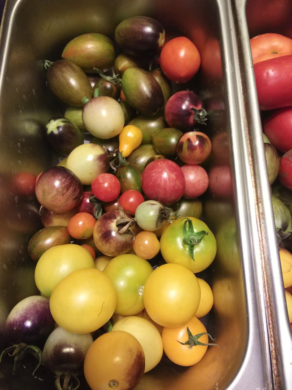 Cherry Tomatoes Super Mix