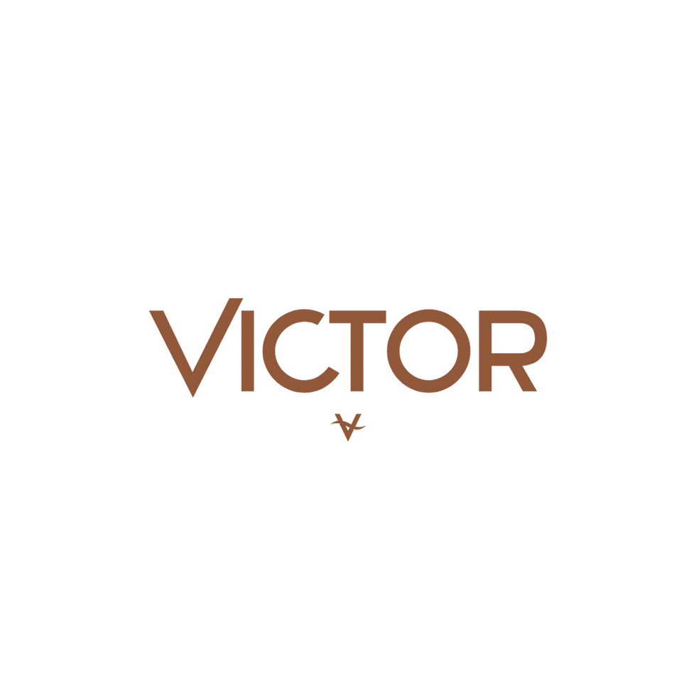 Logo Victor brasserie à Saint-Étienne