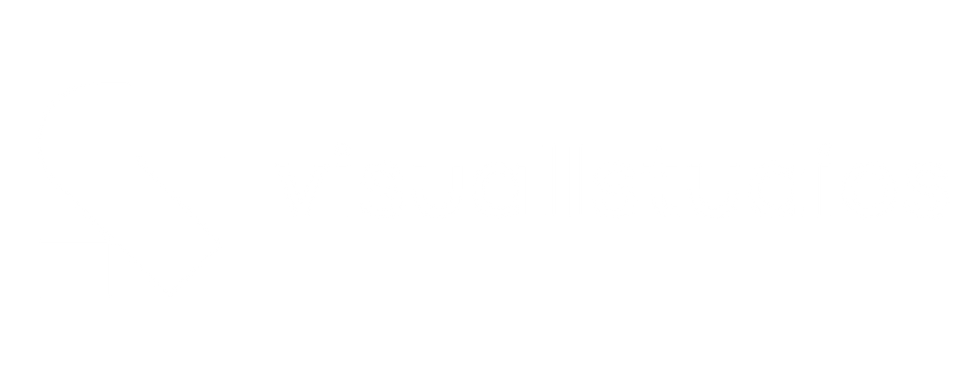 Visu logo.png