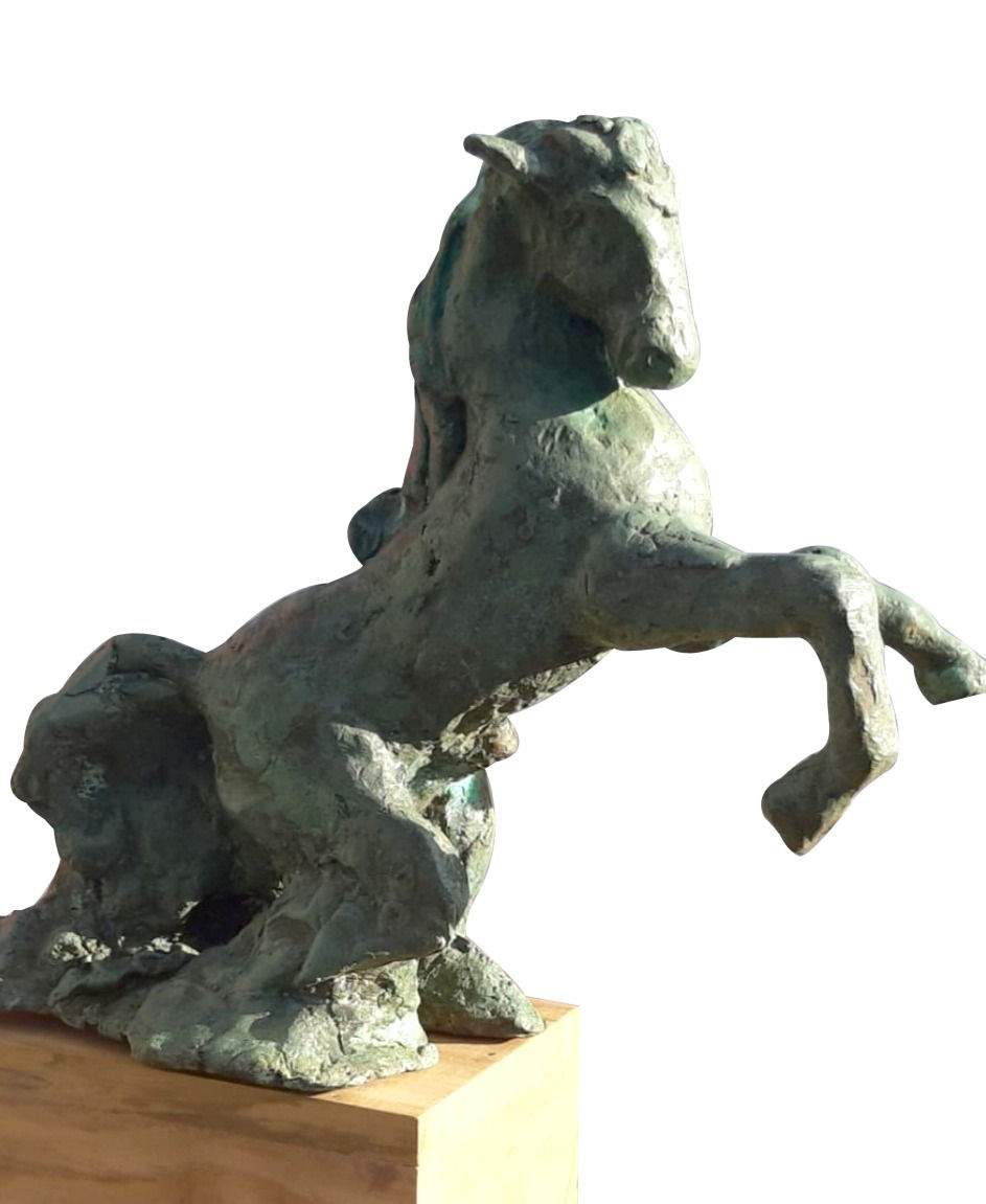 Untitled 1