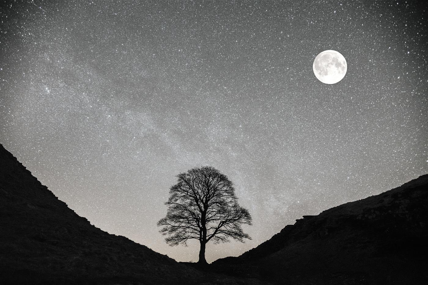 Sycamore gap