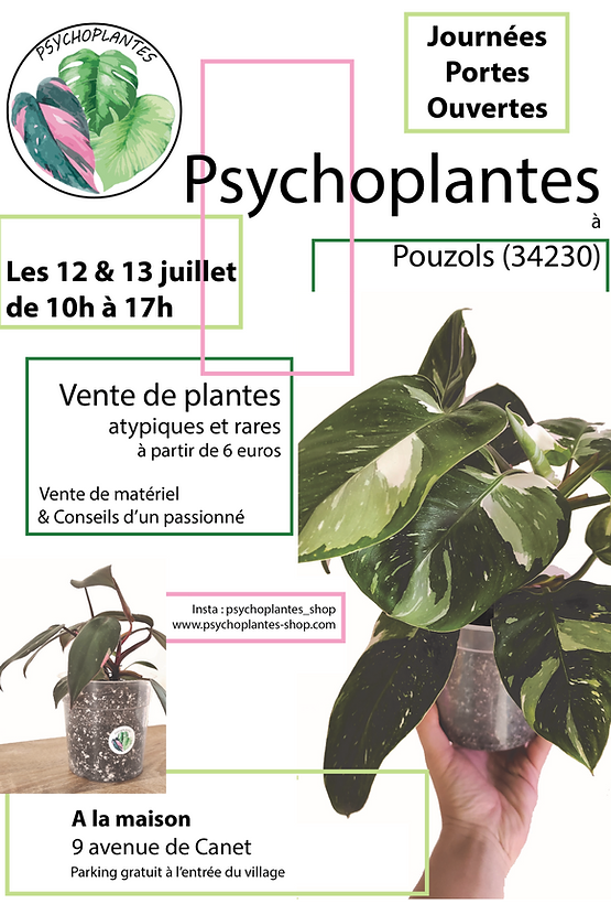 Affiche JPO 2.PNG