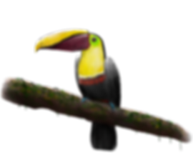 Untitled_Artwork (4).png