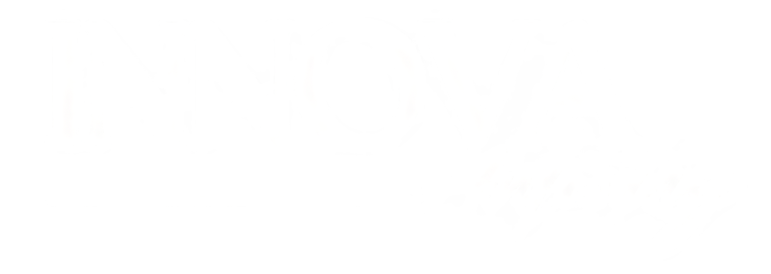 White INNOVA Artistry logo on transparency_edited.png
