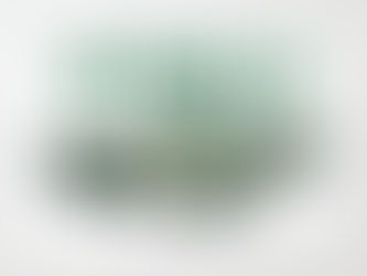 A money back guarantee