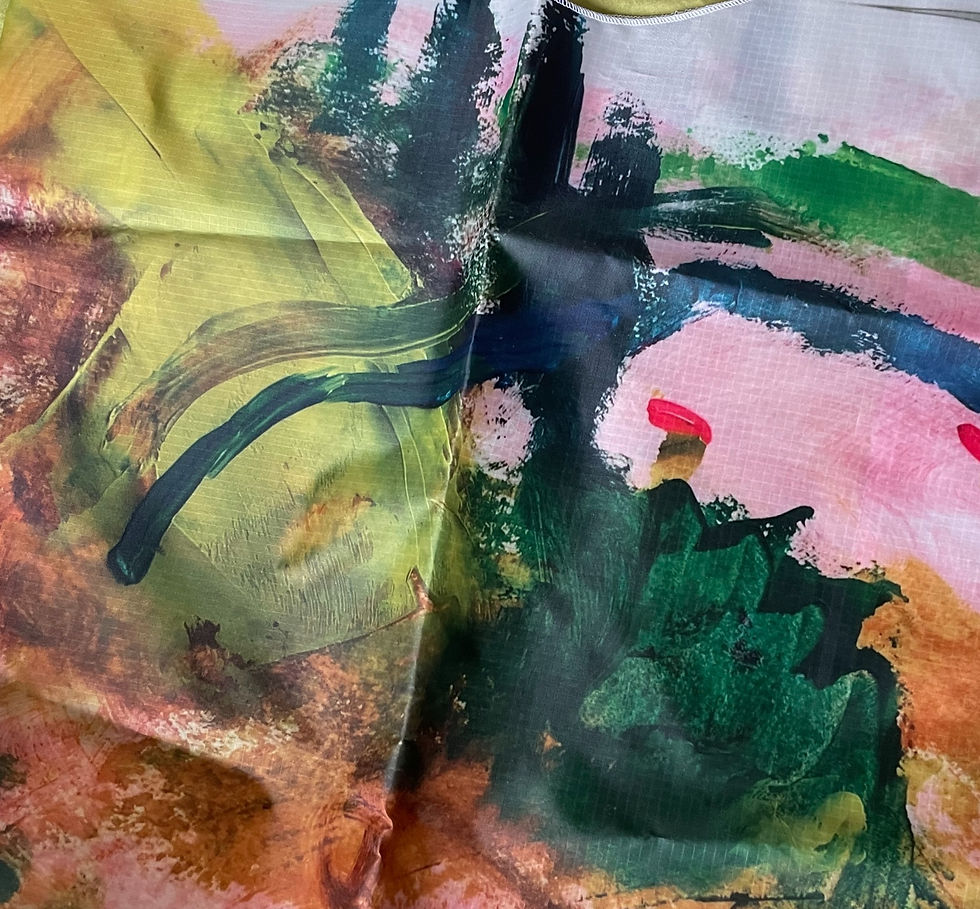 Thumbnail: Sonia Roshal: Parachute printed bags, 3 variants