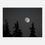 Thumbnail: Moon Over Pines - Canvas