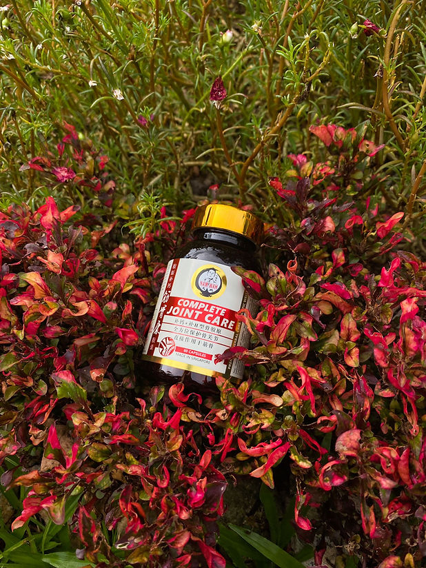 WhatsApp Image 2021-10-12 at 11.00.40 AM (1).jpeg