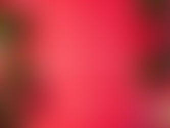 La cave ouvre dans 1 mois !