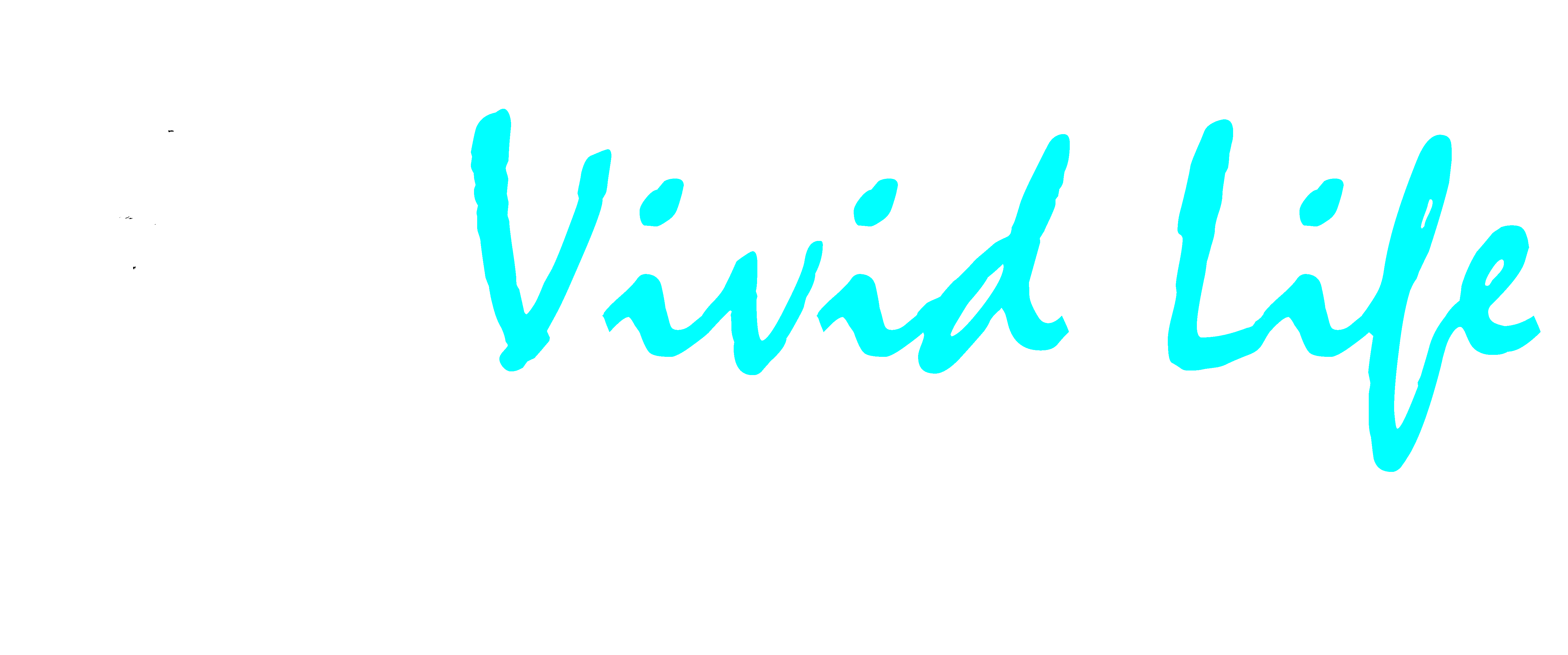 wedding photographer in lancaster