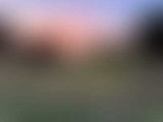 早朝と夕方に賑わいを見せるあそ望の郷くぎの ドッグラン