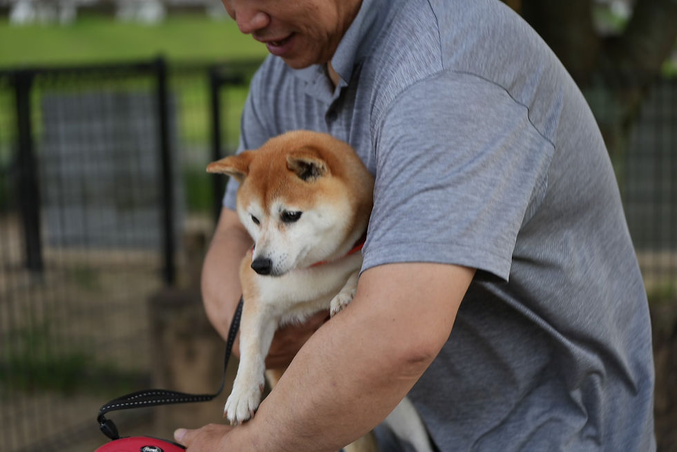 #ペットの泊まれる貸別荘 南阿蘇 久木野の郷 支配人いちご