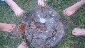 ナチュラルアーシング体験会 ４月２９日（祝）＠生田緑地