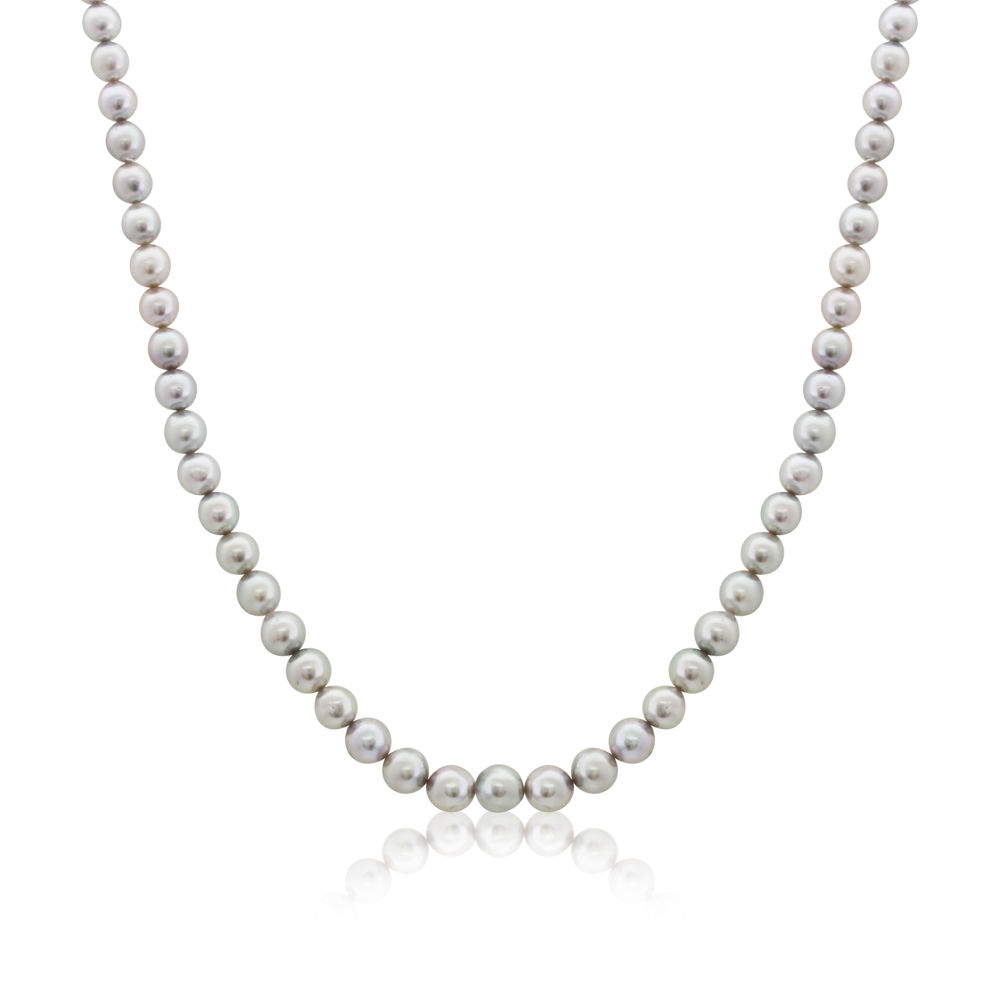 TB4AQ7S0017M Silver south sea