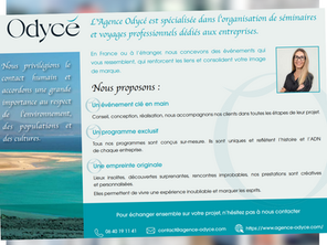 Capture d'écran de l'article du Journal des Entreprises consacré à l'agence Odycé.