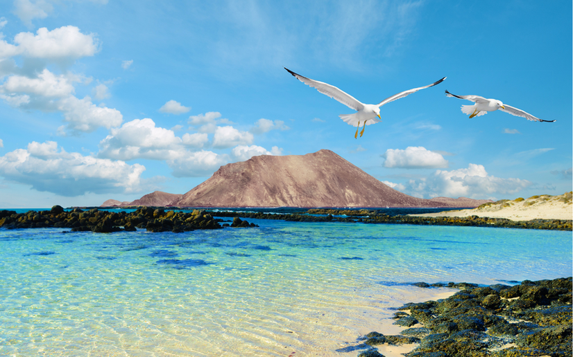 Séminaire et convention à Fuerteventura 