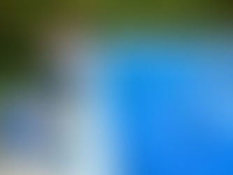 How Do You Vacuum a Pool Step by Step