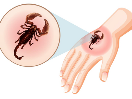 What Does a Scorpion Sting Look Like?