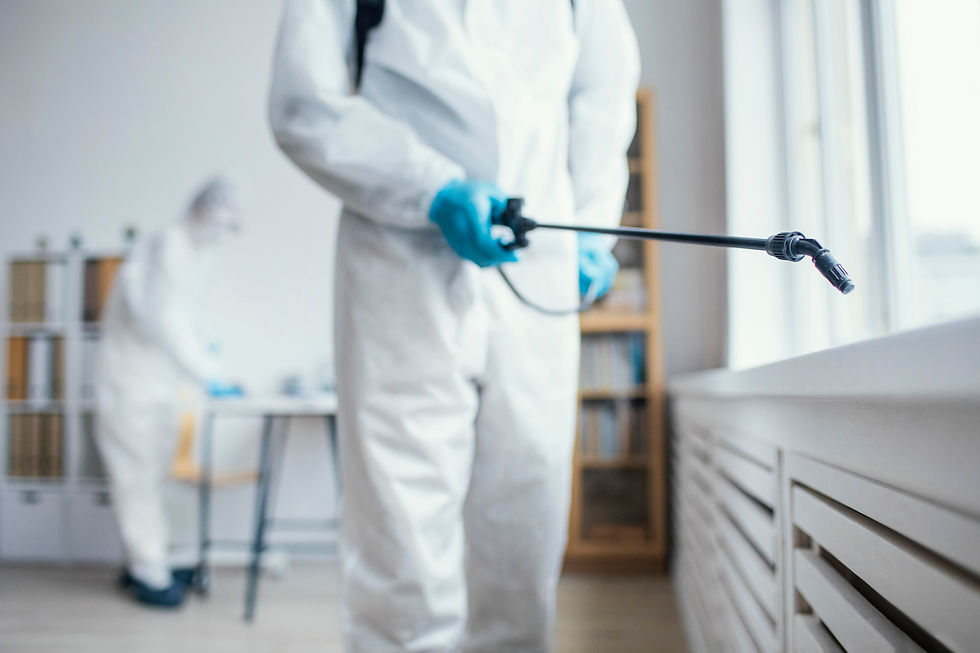 How Professionals Handle Pest Control in Apartment Buildings